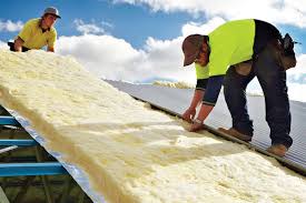 Best Attic Insulation Installation  in Randallstown, MD